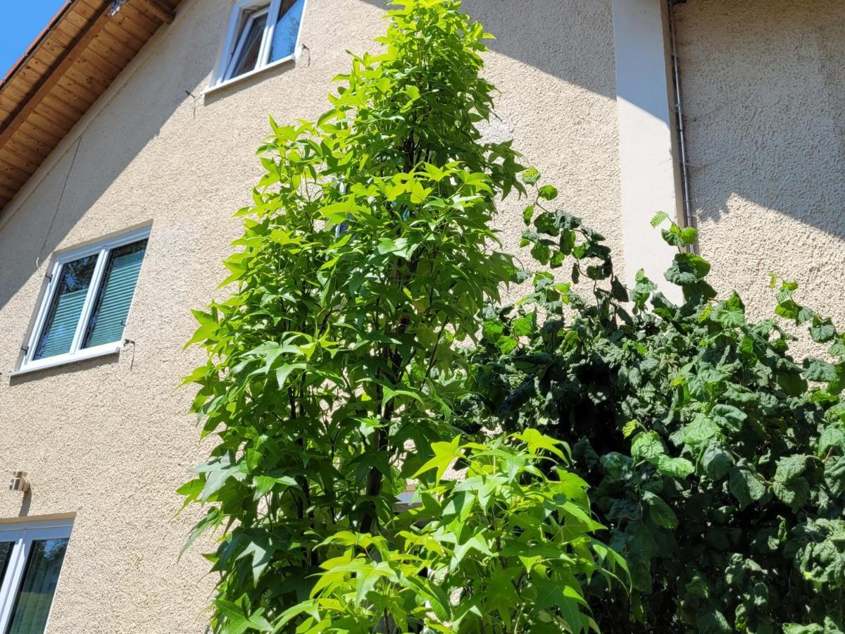 I24Rooms - Gaestezimmer Mit Eigenem Garten Legau Bagian luar foto